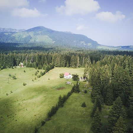 Homestay Djerkovic Žabljak Eksteriør bilde